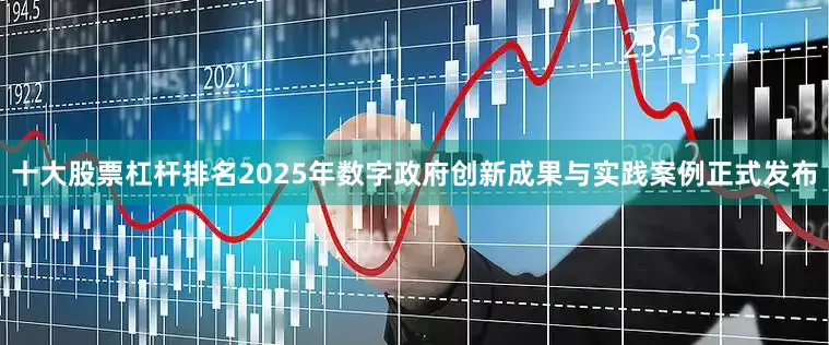 十大股票杠杆排名2025年数字政府创新成果与实践案例正式发布