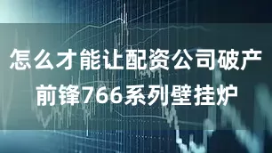 怎么才能让配资公司破产前锋766系列壁挂炉